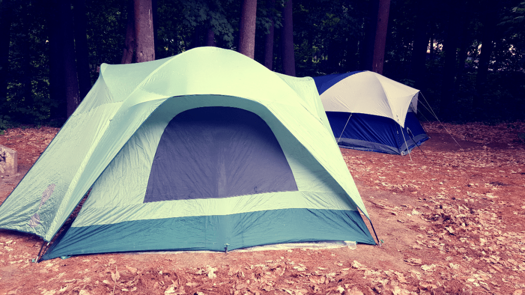 two tents in the outdoor woods